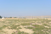 ���൤ɽ��ԭҰƽԭ�������ò