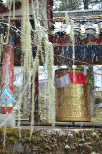 ����ľ���ת������ת��Ͳ