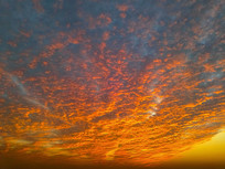 ������ϼ����