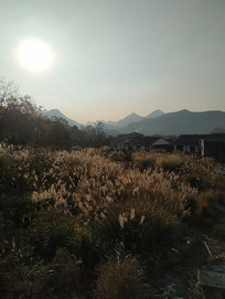 é������