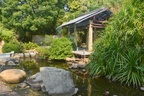 ����԰��԰ �������� 