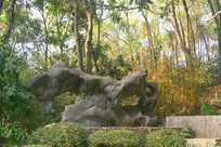 ����԰��԰ʯԵ���� ̫��ʯ