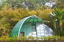 ����԰��԰�����ص����� 