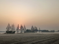 ��Ұ������