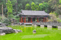 ����԰��԰-���������姼� 