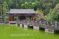 ����԰��԰�ı����姼�