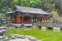 ����԰��԰ˮī���� �姼� 