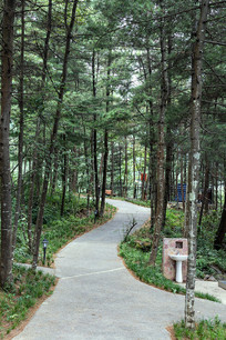 ��������ɽ��Ħ����ɭ�ֲ���