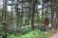 ��������ɽ��Ħ����ɭ�ֹ�԰