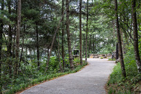 ��������ɽ��Ħ����ɭ�ֽ�������