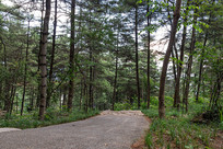 ��������ɽ��Ħ������̬��