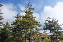 ������ɽĦ�����˾ӻ���