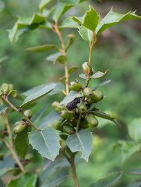 �����۹�δ����Ĺ�ʵ