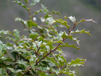 Ұ�������Ļ����۹�