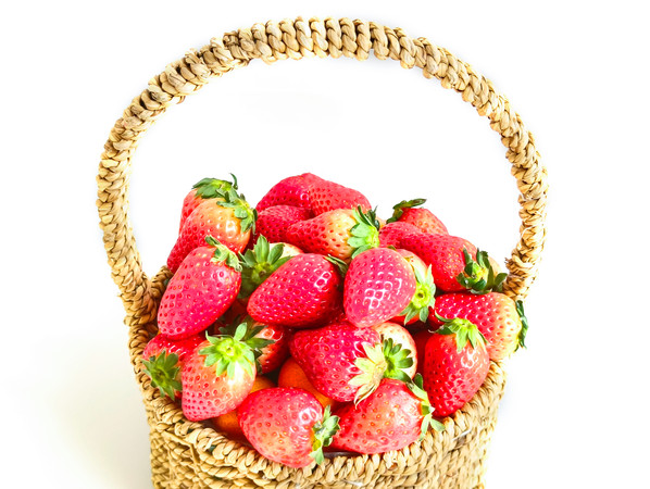 ������ݮ�ز�