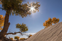 ɳĮ������������