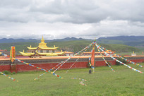 ����������ԭľ�Ž�������