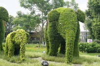 ��ֲ���ܴ���