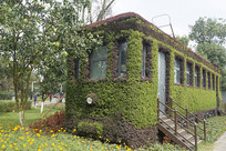 ��ֲ���ǵĻ𳵲������