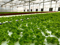 �ִ��Ƽ�����