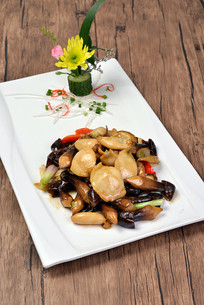 ���ɾ�����Ƭ