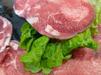 պ������Ƭ