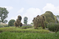 ��ֲ���ܴ����� 