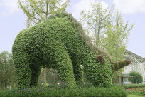 ��ֲ����Ϭţ 