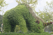 ԰��ֲ�����Ϭţ 