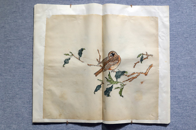 ʮ��ի������  