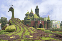 �ɶ����尲���澳��԰