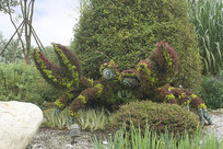 ԰��ֲ������з 