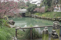 �ɶ����к���佻�Ϫ��԰�� 