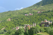 ���޲�����䵤�ͼ׾Ӳ�կ