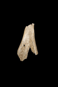 �̴��޹Ǽ׹Ǽ��׹�����