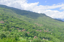 �Ĵ����ͼ׾Ӳ�կ