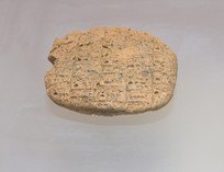 ������ũҵ��¼Ш���������