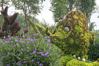 ����ɺ��