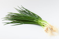 �ױ����ϵ�С��