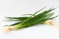 ��ɫ�߲�С��