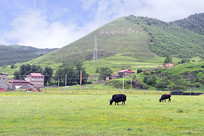 �Ĵ��������¶��������Ȼ���