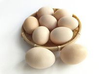 ũ��һ���������