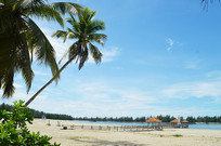 �����Ĳ�Ҭ����