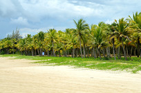 �����Ĳ�Ҭ�����Ҭ����ͼƬ