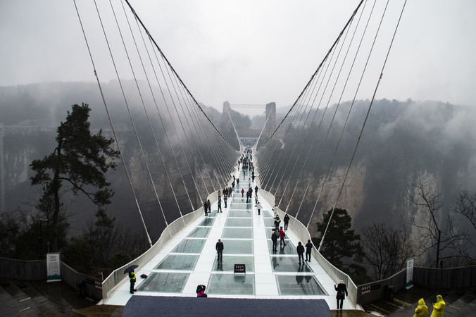 �����żҽ��Ͽ�Ȳ�����ͼ