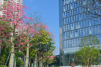 ���ڻ��ȳǴ��ú�������ľ��