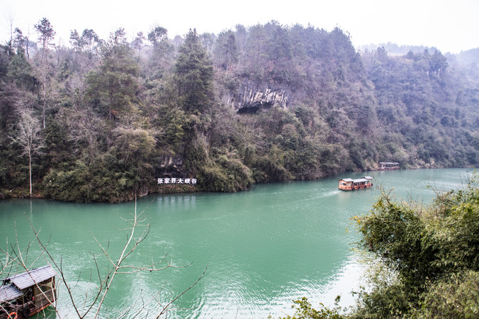 ��������żҽ��Ͽ��