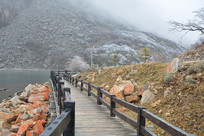 ���ο���ľ�������۹ⲽ�е�