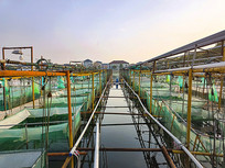 ��з������ֳ