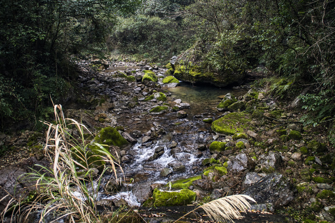 �����żҽ��Ͽ��ͼƬ